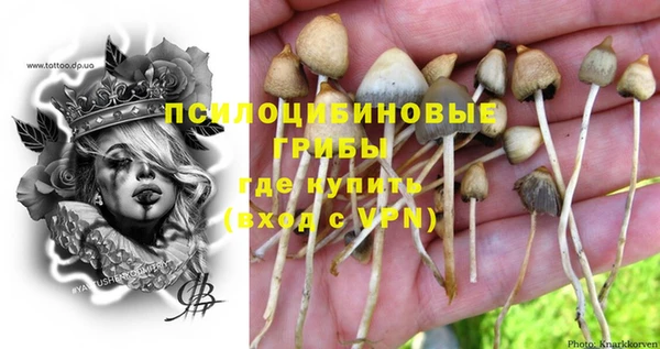 соль курить ск Володарск