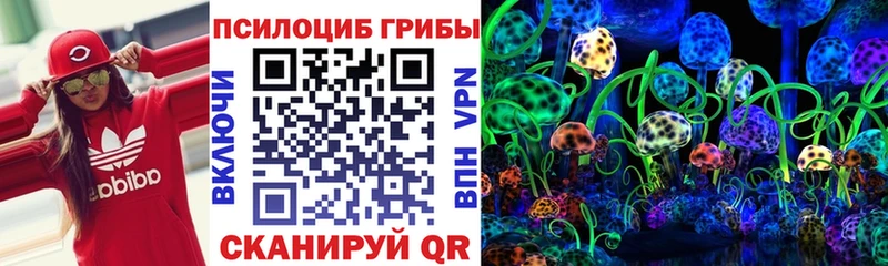 где найти Печора Псилоцибиновые грибы Psilocybine cubensis