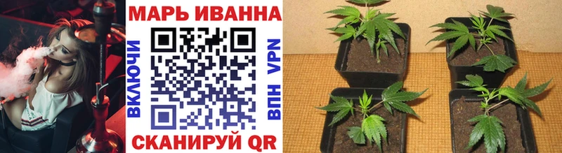 купить  цена  Печора  Конопля White Widow 